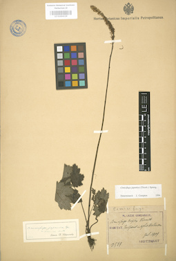 LE 01004129