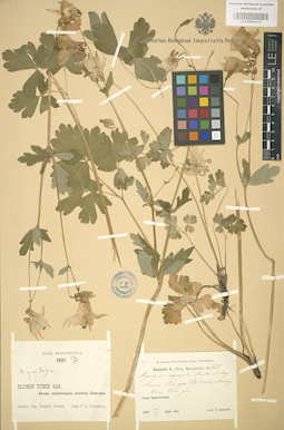 LE 01004133
