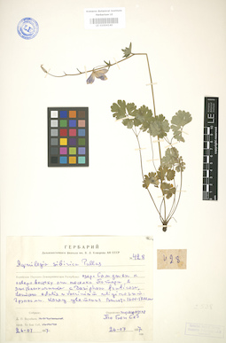LE 01004140