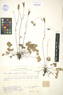 LE 01004142