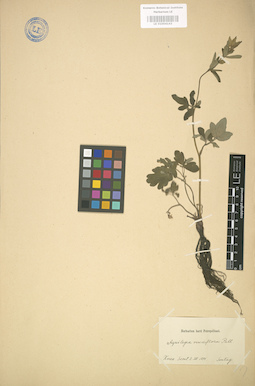 LE 01004143