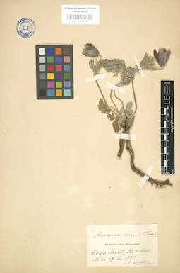 LE 01004154