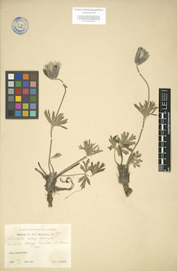 LE 01004155