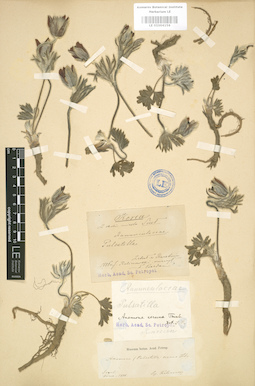LE 01004156