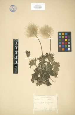 LE 01004157