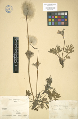 LE 01004158