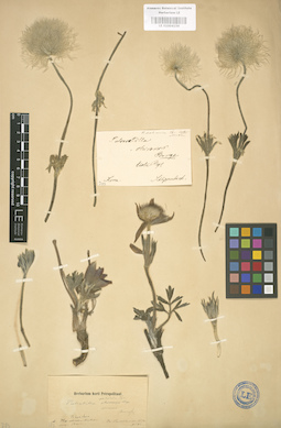 LE 01004159