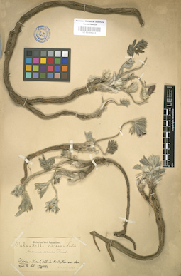 LE 01004163