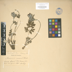 LE 01004164