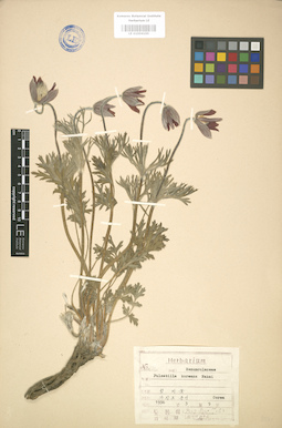 LE 01004165