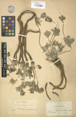 LE 01004167