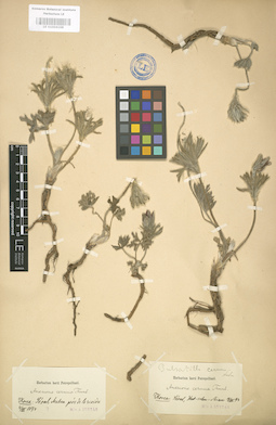 LE 01004168