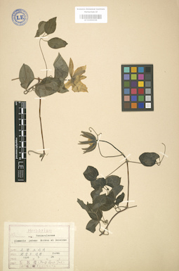 LE 01004199