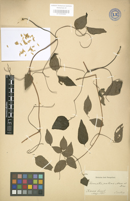 LE 01004201