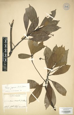 LE 01004235