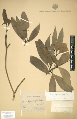LE 01004236