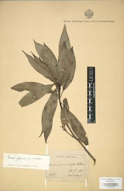 LE 01004237