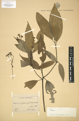 LE 01004246