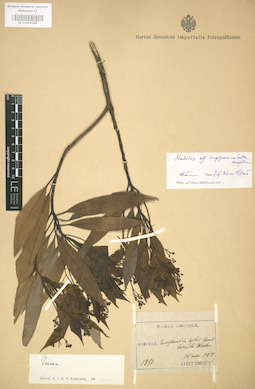 LE 01004248
