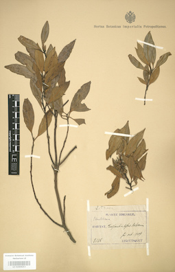 LE 01004253