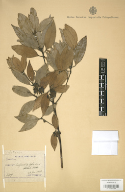 LE 01004254