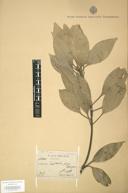 LE 01004256