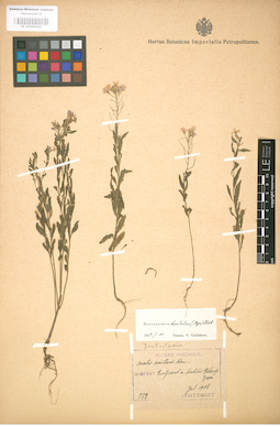 LE 01004262