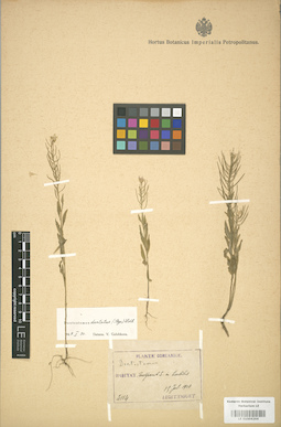 LE 01004264