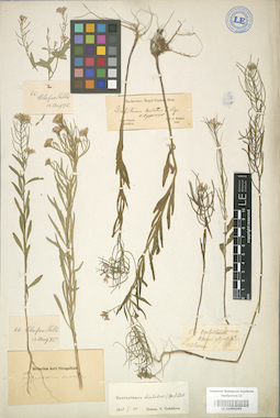 LE 01004265