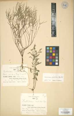 LE 01004266