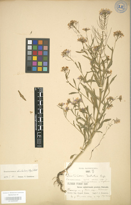 LE 01004267