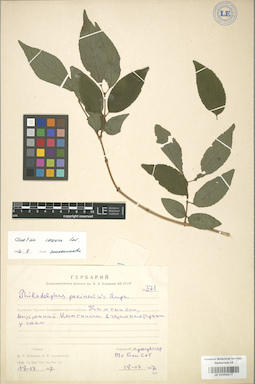 LE 01004277