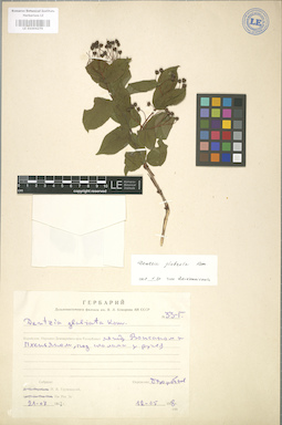 LE 01004279
