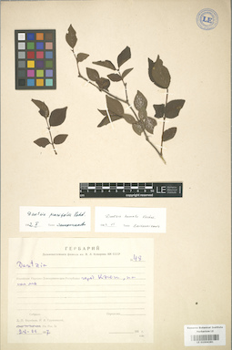 LE 01004281
