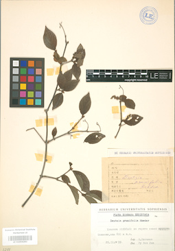 LE 01004283