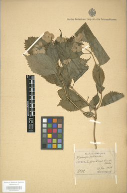 LE 01004284