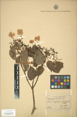 LE 01004293