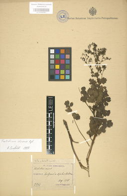 LE 01004301