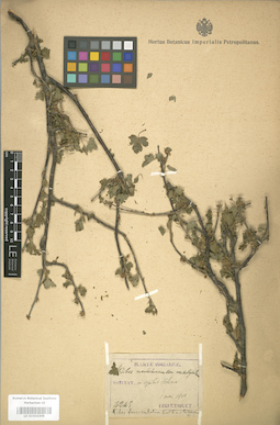LE 01004309