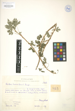 LE 01004311