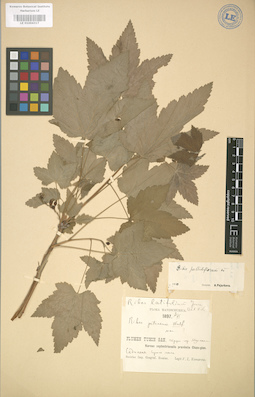 LE 01004317
