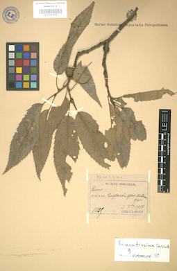 LE 01004395