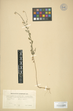 LE 01004432