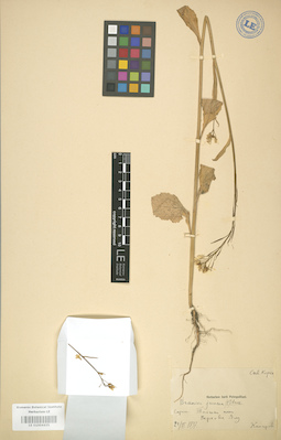 LE 01004435