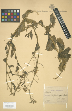LE 01004436