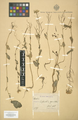 LE 01004438