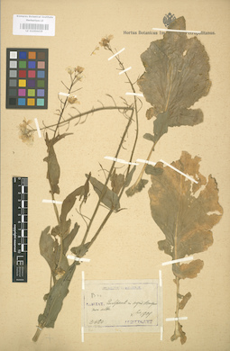 LE 01004439