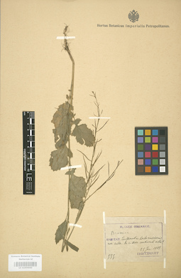 LE 01004440
