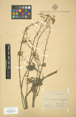 LE 01004441