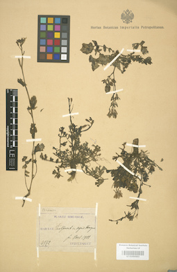 LE 01004442